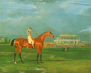 19th CENTURY EQUESTRIAN PRINTS, inc. Landseer & Herring